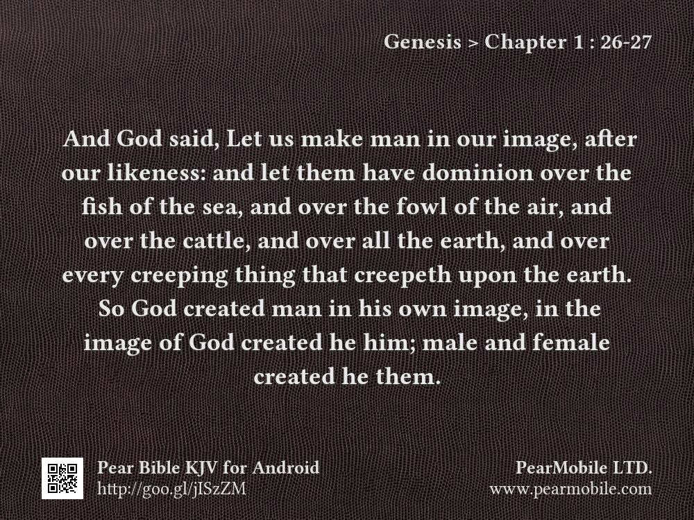 Genesis, Chapter 1:26-27